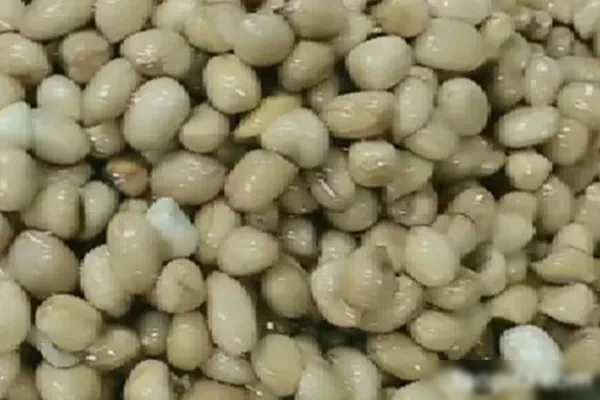 四季怪味花生米视频教程-小吃方略网