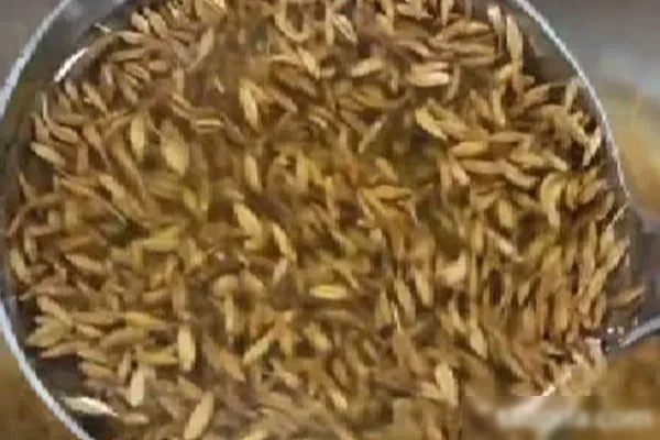 图片[1]-《孜然菠菜》和《万能素菜汁》视频教程-小吃方略网