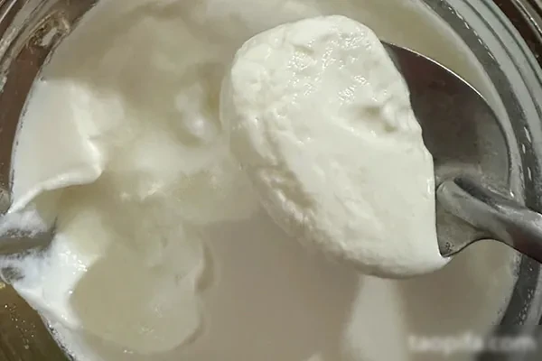 蜜思甜品五款手工酸奶一款麦片大合集一年四季都能火爆热销-小吃方略网