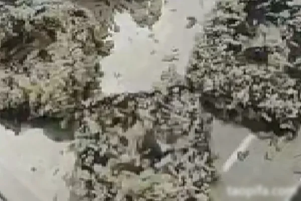 豆腐王朝三口味技术配方-小吃方略网