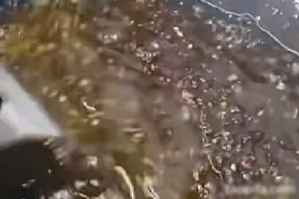 图片[1]-广东顺德秘制啫鱼酱技术配方和视频教程-小吃方略网