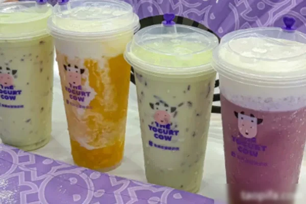 一只酸奶牛技术配方和视频教程-小吃方略网